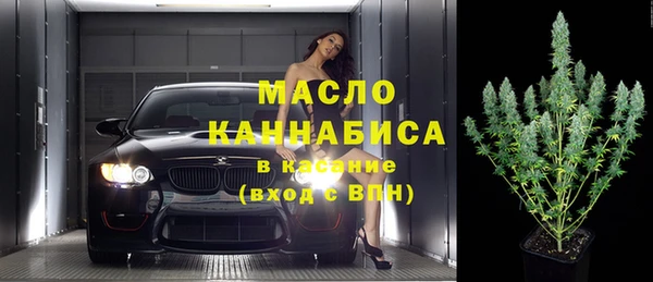 гидра Козловка