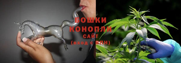 гидра Козловка