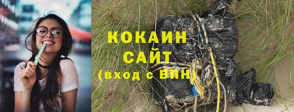 гидра Козловка