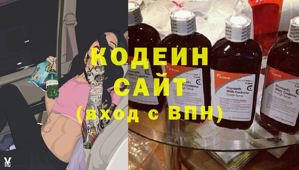 шишки Коряжма