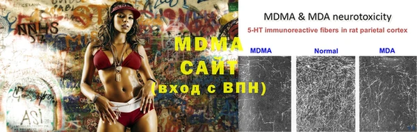 гидра Козловка