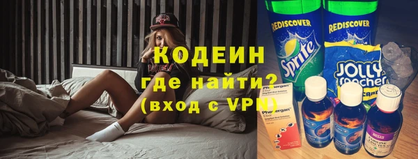 шишки Коряжма