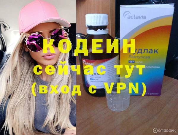 шишки Коряжма