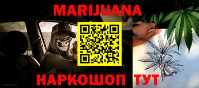 прущие грибы Абакан