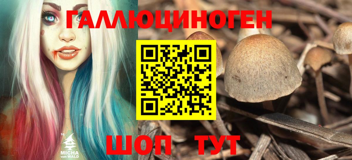 Галлюциногенные грибы мицелий Таганрог