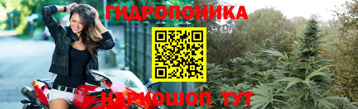 Бошки Шишки индика  Марихуана гибрид  Таганрог  МАРИХУАНА AK-47 